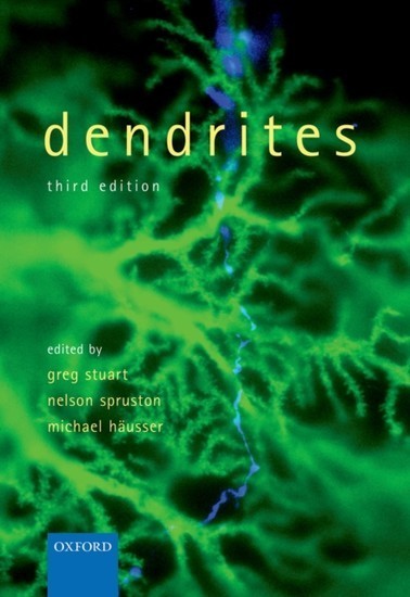 Dendrites main product photo