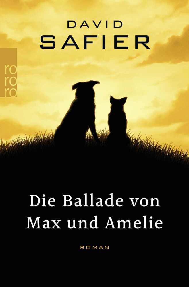 Die Ballade von Max und Amelie main product photo
