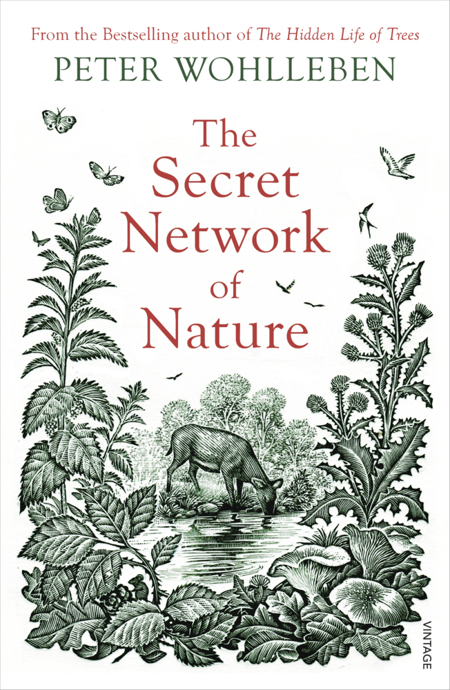 The Secret Network of Nature main product photo