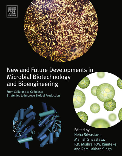 New and Future Developments in Microbial Biotechnology and Bioengineering main product photo