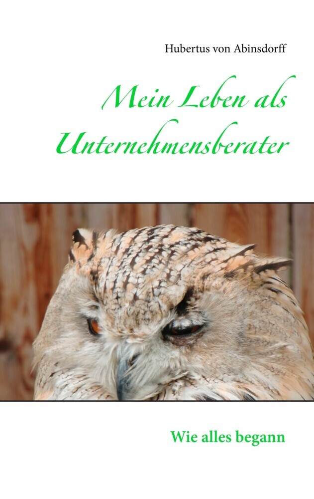 Mein Leben als Unternehmensberater main product photo