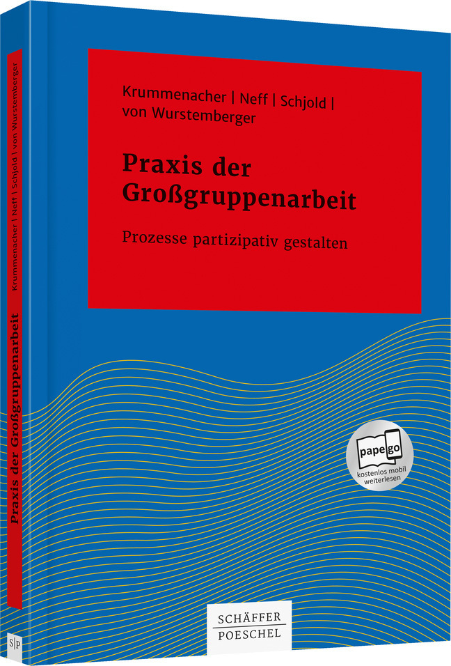 Praxis der Großgruppenarbeit main product photo