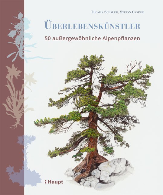 Überlebenskünstler main product photo