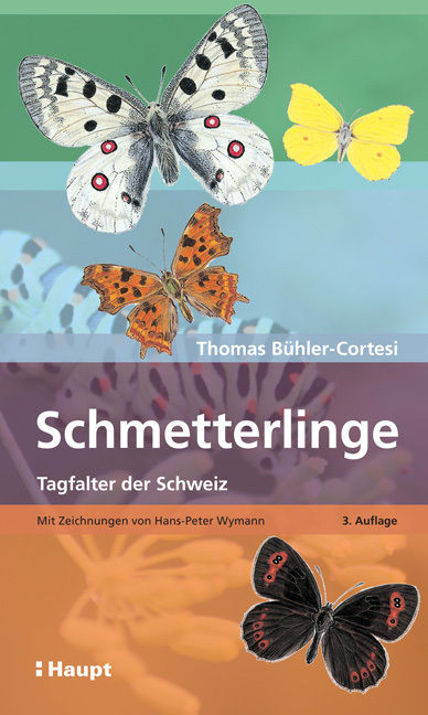 Schmetterlinge main product photo