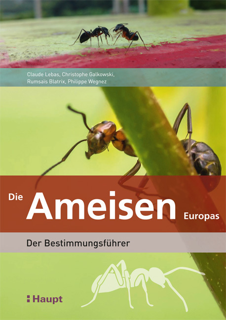 Die Ameisen Europas main product photo