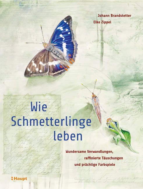 Wie Schmetterlinge leben main product photo