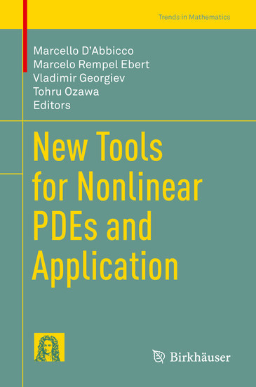 New Tools for Nonlinear PDEs and Application main product photo