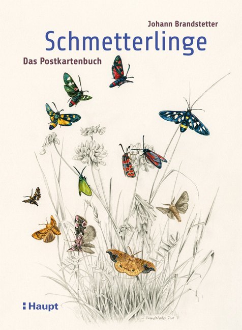 Schmetterlinge - Das Postkartenbuch main product photo