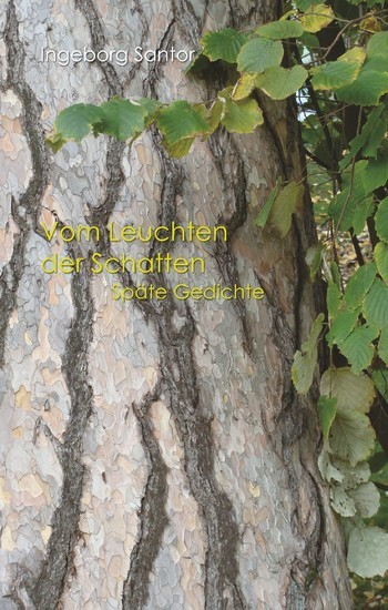 Vom Leuchten der Schatten main product photo