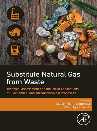 Substitute Natural Gas from Waste main product photo