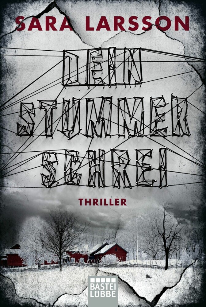 Dein stummer Schrei main product photo