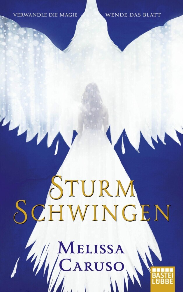 Sturmschwingen main product photo