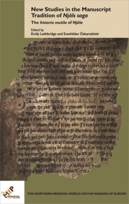 New Studies in the Manuscript Tradition of Njáls saga
