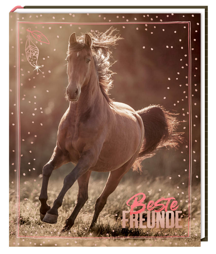 Freundebuch - I LOVE HORSES - Beste Freunde main product photo