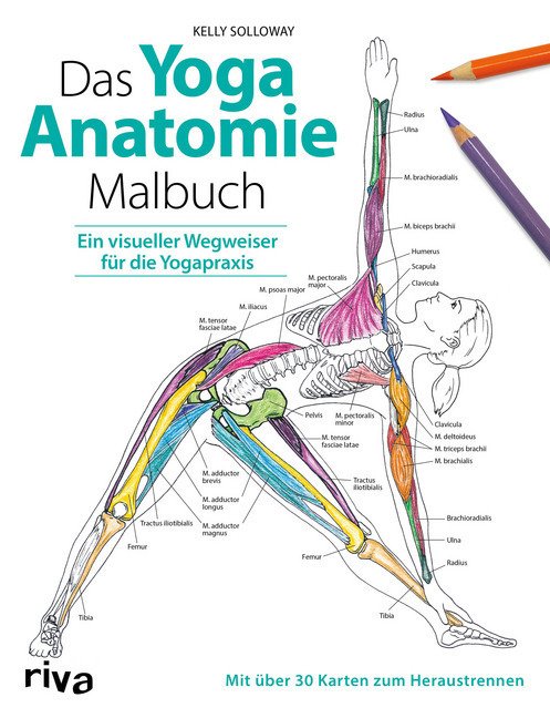 Das Yoga-Anatomie-Malbuch main product photo