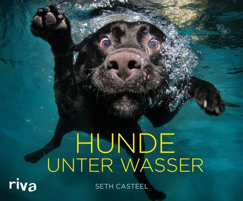Hunde unter Wasser main product photo