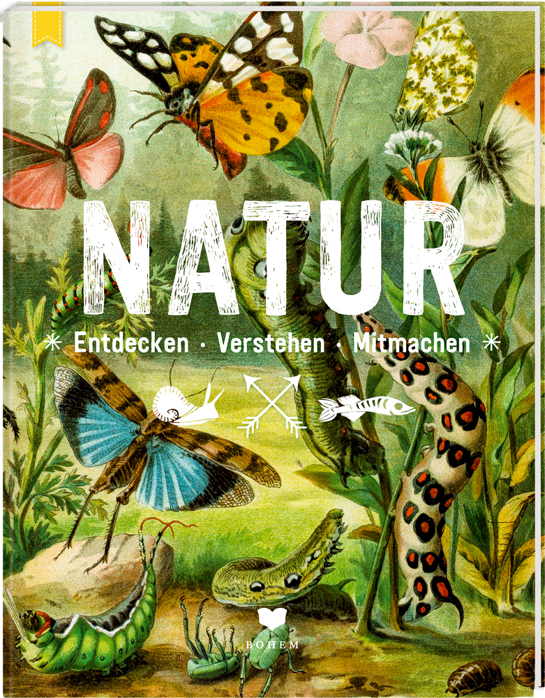 Natur main product photo
