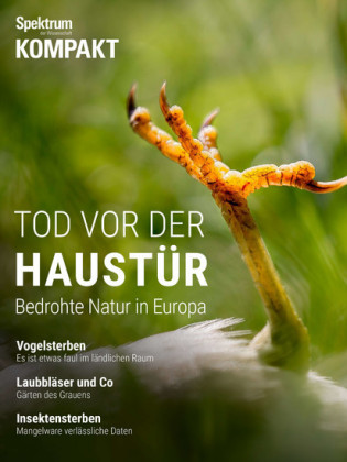 Spektrum Kompakt - Tod vor der Haustür
