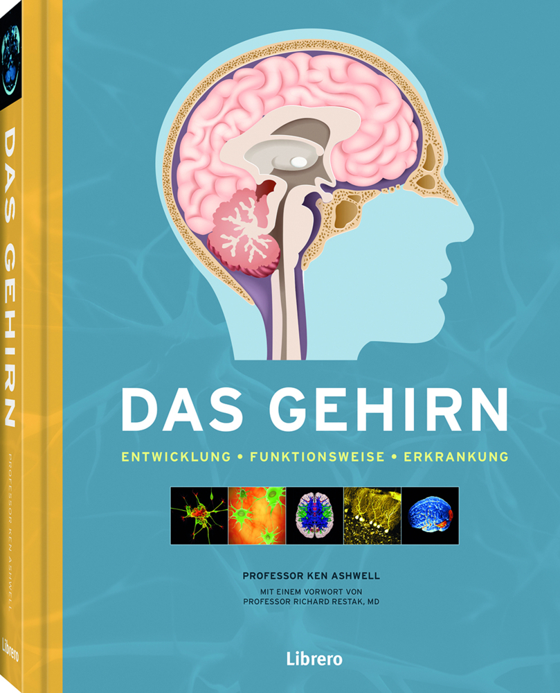 Das Gehirn main product photo