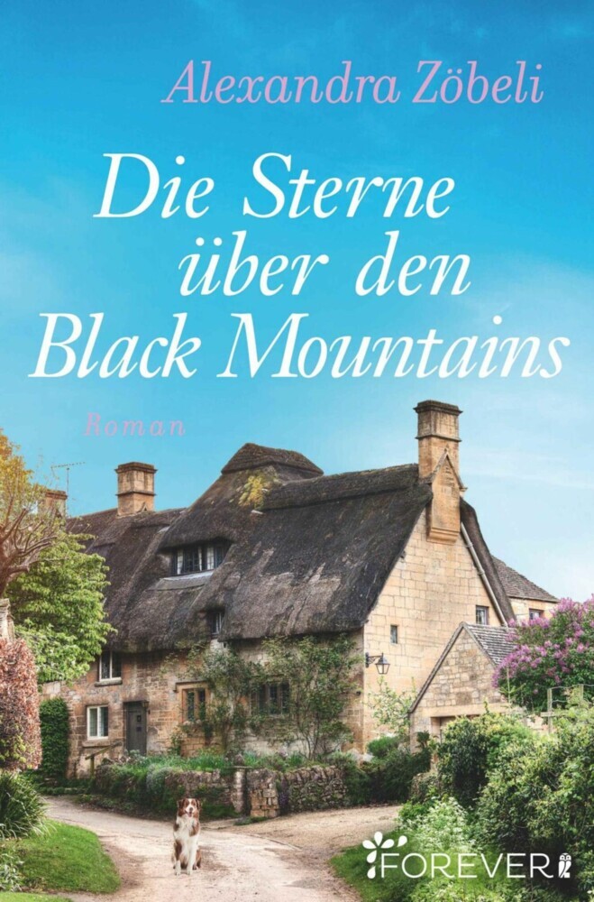 Die Sterne über den Black Mountains main product photo