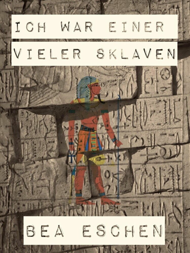 Ich war einer vieler Sklaven main product photo