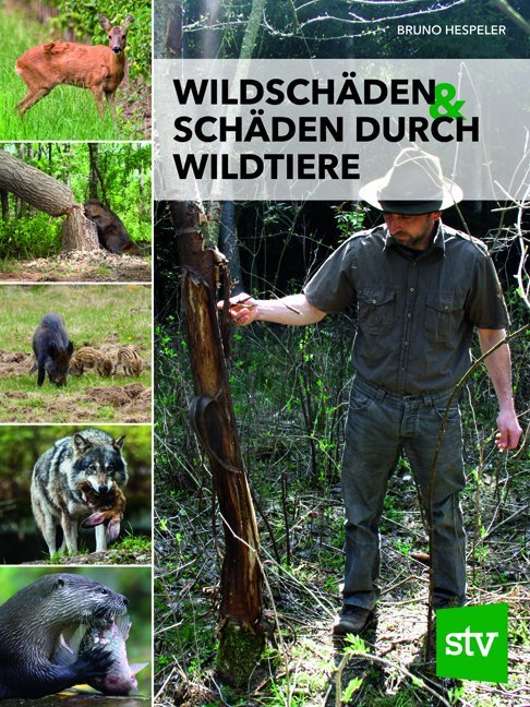 Wildschäden & Schäden durch Wildtiere main product photo