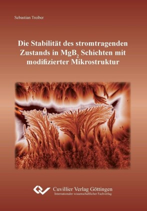 Die Stabilit&#xE4;t des stromtragenden Zustands in MgB2 Schichten mit modifizierter Mikrostruktur