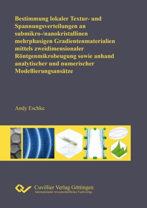 Bestimmung lokaler Textur- und Spannungsverteilungen an submikro-/nanokristallinen mehrphasigen Gradientenmaterialien mittels zweidimensionaler R&#xF6;ntgenmikrobeugung sowie an-hand analytischer und numerischer Modellierungsans&#xE4;tze