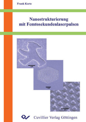 Nanostrukturierung mit Femtosekundenlaserpulsen