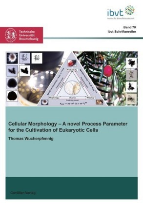 Cellular Morphology