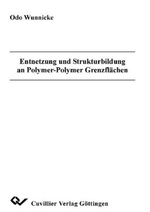Entnetzung und Strukturbildung an Polymer-Polymer Grenzfl&#xE4;chen