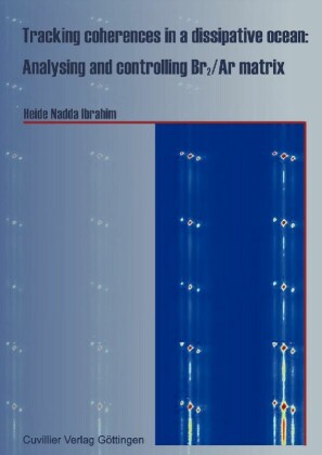 Tracking coherences in a dissipative ocean: