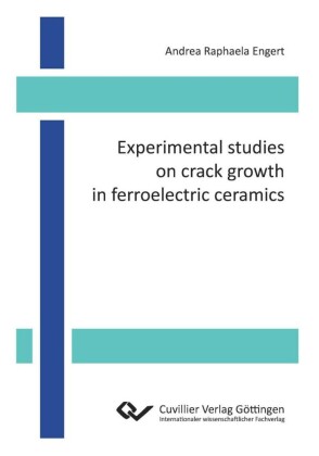 Experimental studies on crack growth in ferroelectric ceramics