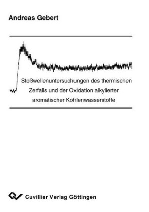 Sto&#xDF;wellenuntersuchungen des thermischen Zerfalls und der Oxidation alkylierter aromatischer Kohlenwasserstoffe