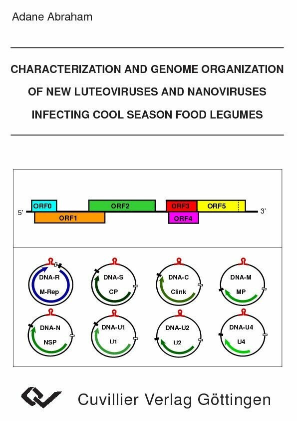 Characterization and Genome Organization of New Luteoviruses and Nanoviruses Infecting Cool Season Food Legumes main product photo