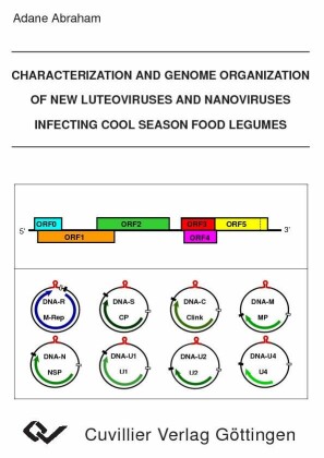 Characterization and Genome Organization of New Luteoviruses and Nanoviruses Infecting Cool Season Food Legumes