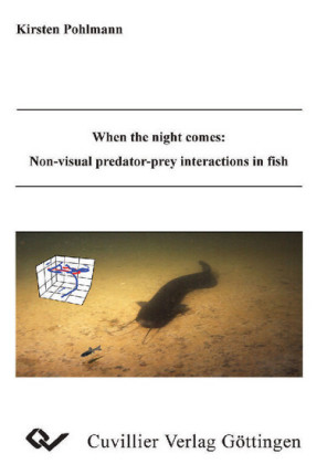 When the night comes: Non-visual predator-prey interactions in fish