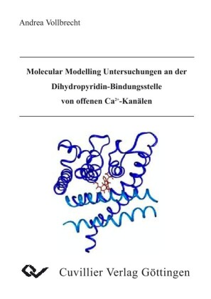 Molecular Modelling Untersuchungen an der Dihydropyridin-Bindungsstelle von offenen Ca2+Kan&#xE4;len