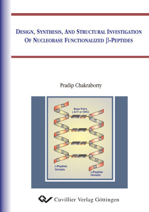 Design, Synthesis, and Structural Investigation of Nucleobase Functionalized &#x3B2;-Peptides