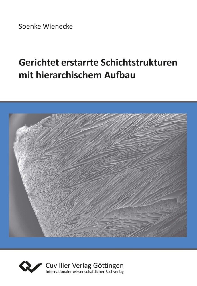 Gerichtet erstarrte Schichtstrukturen mit hierarchischem Aufbau main product photo