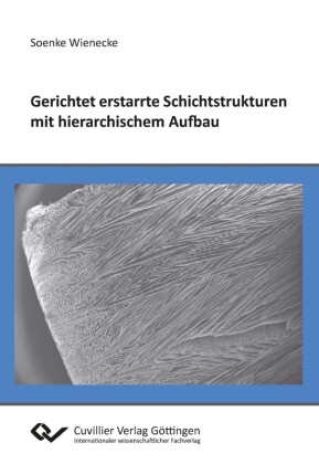 Gerichtet erstarrte Schichtstrukturen mit hierarchischem Aufbau