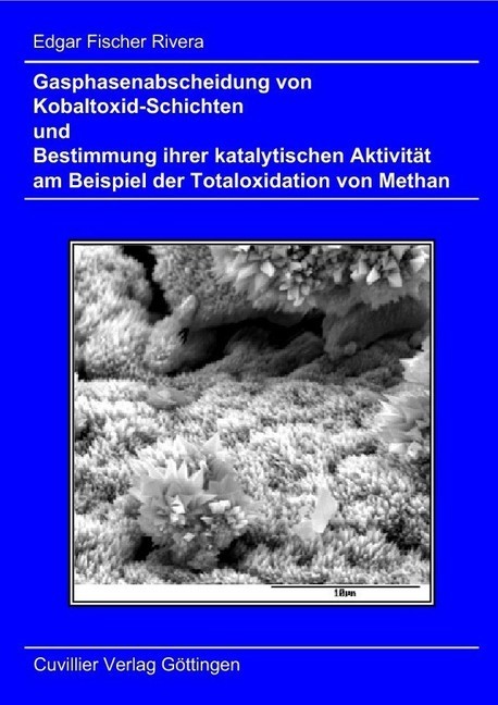 Gasphasenabscheidung von Kobaltoxid-Schichten und Bestimmung ihrer katalytischen Aktivität am Beispiel der Totaloxidation von Methan main product photo