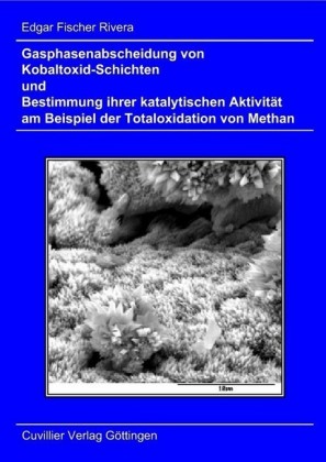 Gasphasenabscheidung von Kobaltoxid-Schichten und Bestimmung ihrer katalytischen Aktivit&#xE4;t am Beispiel der Totaloxidation von Methan