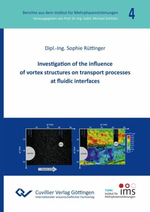 Investigation of the influence  of vortex structures on transport processes at fluidic interfaces