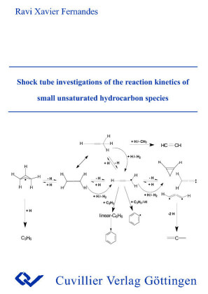 Shock tube investigations of the reaction kinetics of small unsaturated hydrocarbon species