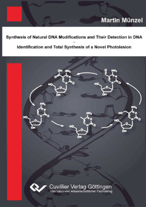 Synthese nat&#xFC;rlicher DNA Modifikationen und deren Detektion in DNA - Identifikation und Totalsynthese eines neuartigen DNA Photoschadens