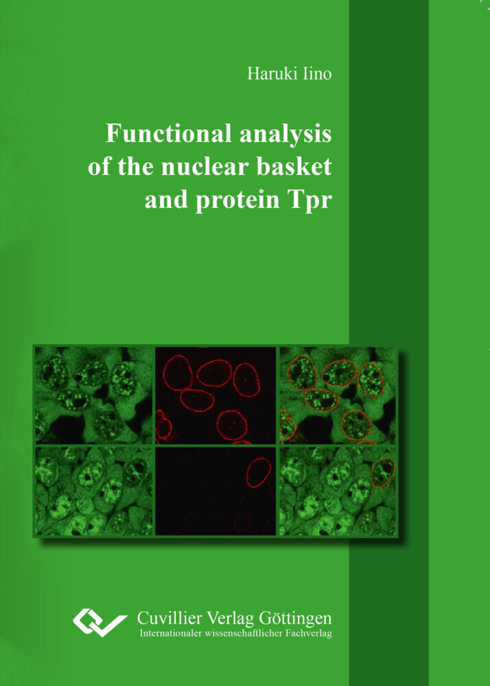 Functional analysis of the nuclear basket and protein Tpr main product photo