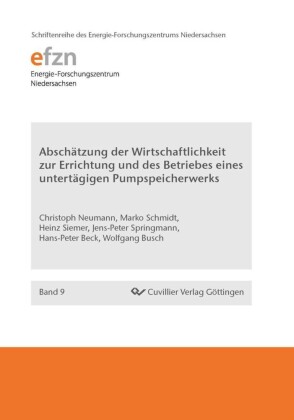 Absch&#xE4;tzung der Wirtschaftlichkeit zur Errichtung und des Betriebes eines untert&#xE4;gigen Pumpspeicherwerks