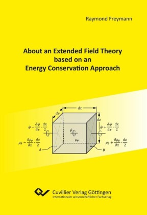About an Extended Field Theory based on an Energy Conservation Approach