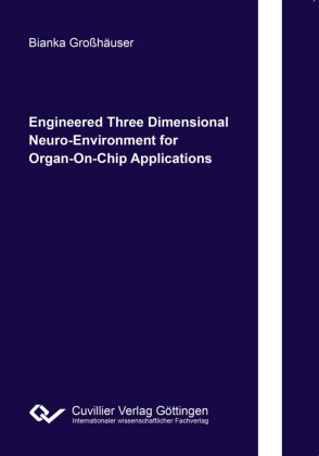 Engineered Three Dimensional Neuro-Environment for Organ-On-Chip Applications